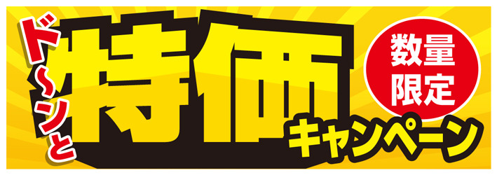 Fnet-1特価キャンペーン3