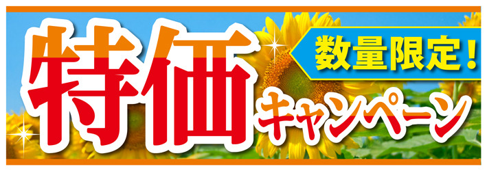 Fnet-1特価夏