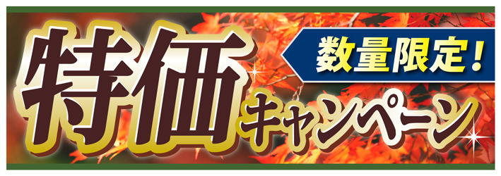Fnet-1特価秋